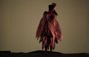 El pájaro prodigioso