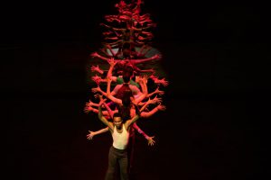 A chorus line
