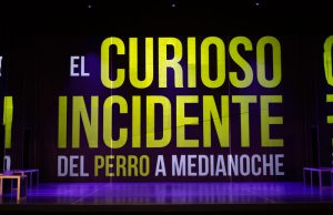 El curioso incidente del perro a medianoche